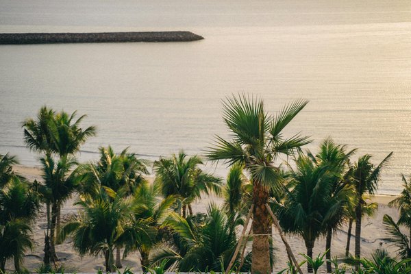 Plonger au cœur du vietnam avec une agence de voyage locale : l'expérience authentique en asie du sud-est